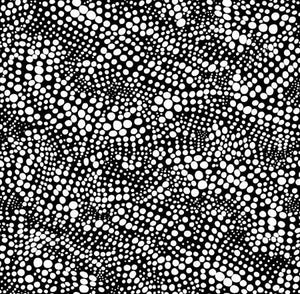 118" Blk/Wht Dot to Dot Col 09