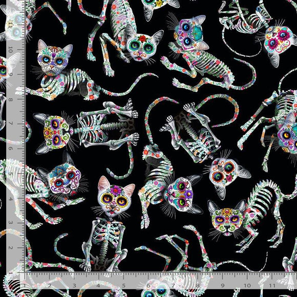 Black Tossed Skeleton Cats