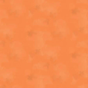 Brushstroke C2970-CORAL