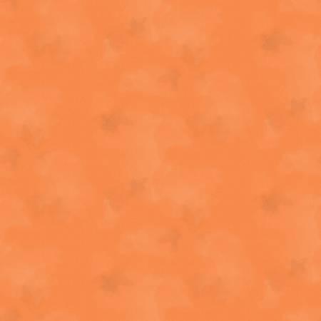 Brushstroke C2970-CORAL