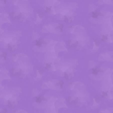 Brushstroke C2970-LAVENDER