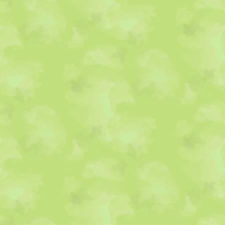 Brushstroke C2970-SENCHA