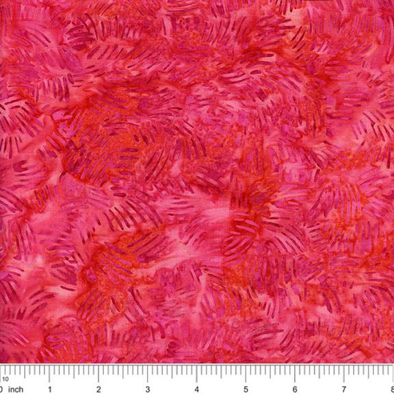 Cat Scratch Watermelon BE29-B1 Sewing Sewcial 2024