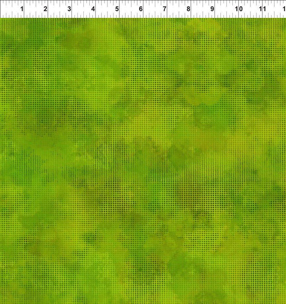 Dit Dot Evolution - 1DDE21 Grass