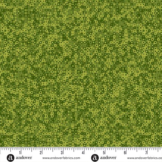 Fairy Rings 1505 G2