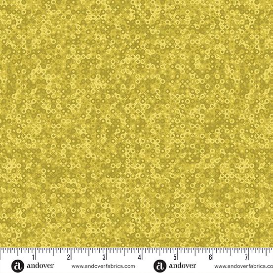 Fairy Rings 1505 Y1