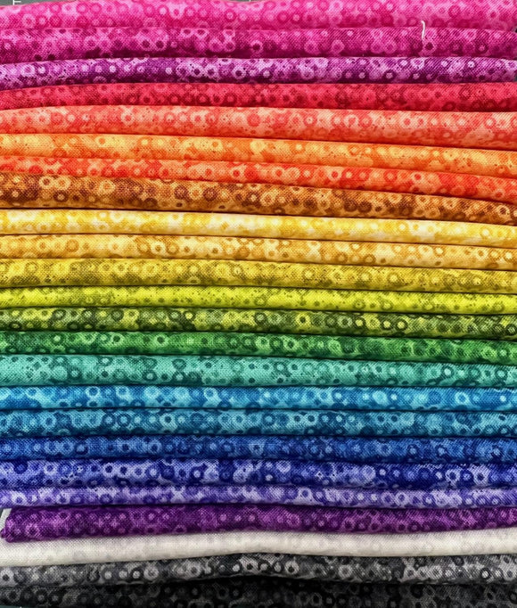 Fairy Rings 24FQ Bundle