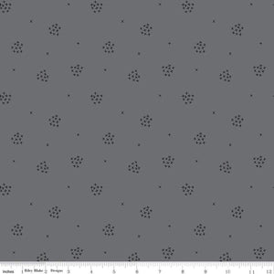 Gray C16245 Blackout