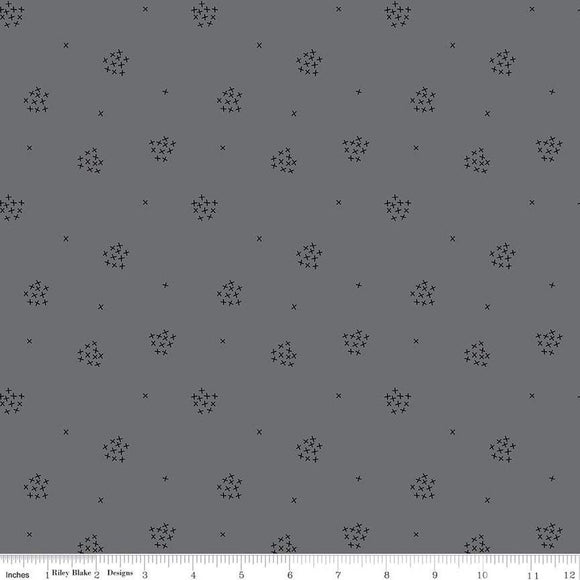 Gray C16245 Blackout