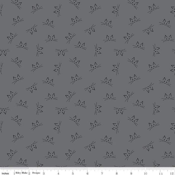 Gray C16248 Blackout