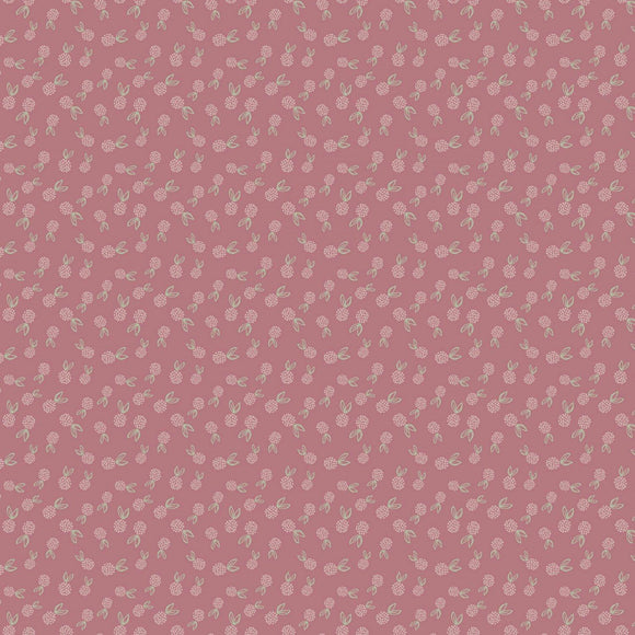 Honey Locust 16276-Berry