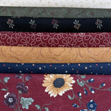 Meet Me in Houston Fabric Bundle - Kansas Troubles