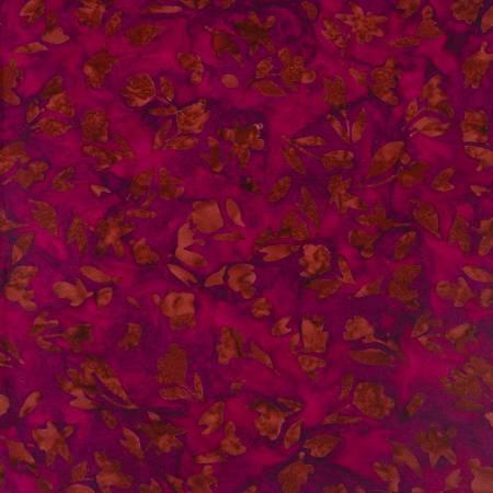 Raspberry Nightshade BT23062-207