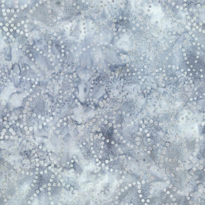 Starlight 22293-441