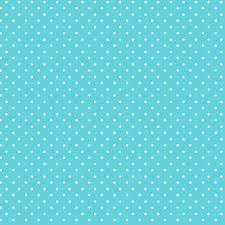 Priscipolkas 1030-101 Aqua/Wht