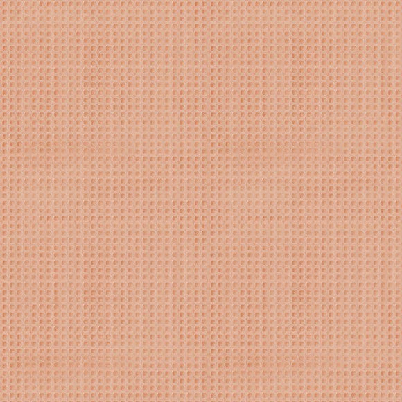 Apricot Flannel CF2503